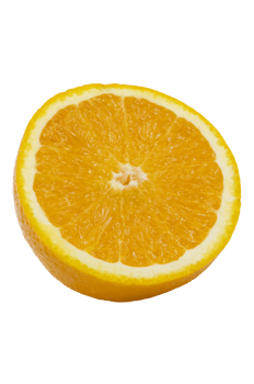 slice of orange on transparent background png