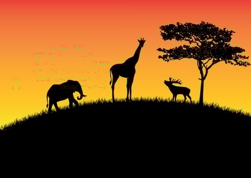 Animal wildlife in Africa at sunset or sunrise illustration vector