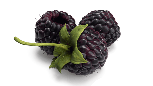 three perfect raspberries with shadow png