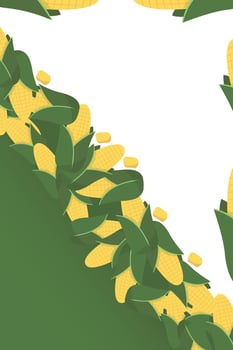 Frame corn banner. Vegetable border corn with copy space vector