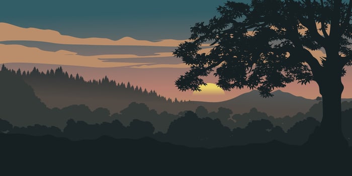Beautiful sunset over forest with a tree and mountains in the background vector