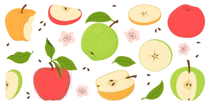 Apple fruit set. Whole, half, slice of red green and yellow apple fruit with green leaves and flowers collection. Hand drawn flat style isolated illustration vector