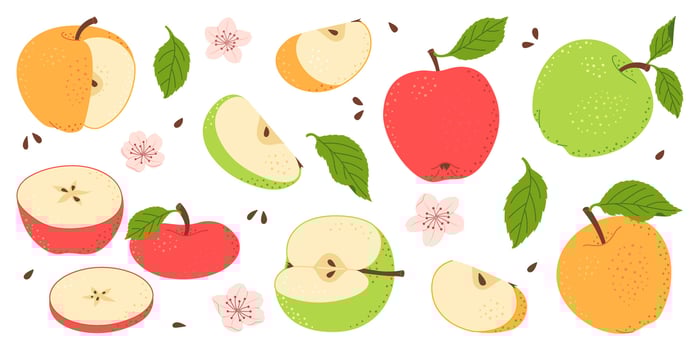 Apple fruit set. Whole, half, slice of red green and yellow apple fruit with green leaves and flowers collection. Hand drawn flat style isolated illustration vector
