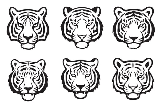 tiger head illustration vector