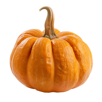 A vibrant orange pumpkin isolated on a transparent background png
