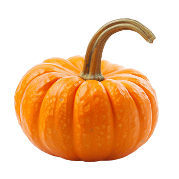 A vibrant orange pumpkin isolated on a transparent background png
