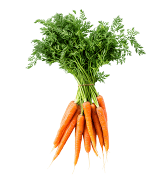 Carrots with green tops isolated on a transparent background png