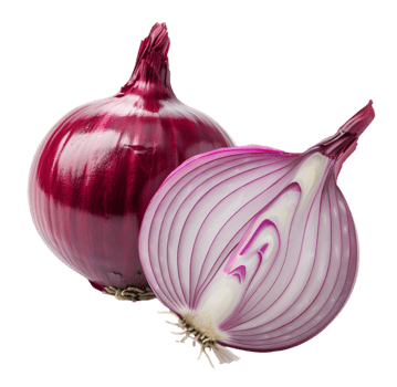 Red onion isolated on a transparent background png