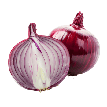 Onion isolated on a transparent background png