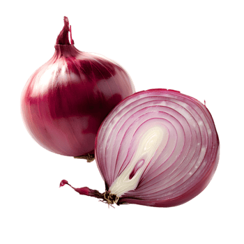 Onion isolated on a transparent background png