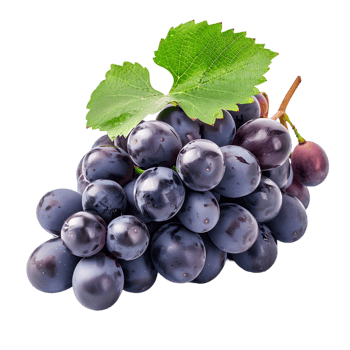 Grape cluster isolated on a transparent background png
