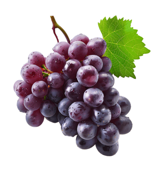 Grape isolated on a transparent background png