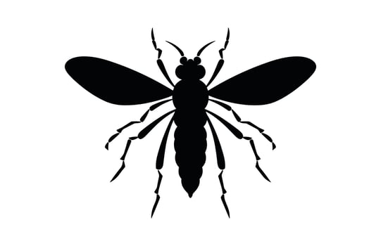 Insect black Silhouette Clip art vector