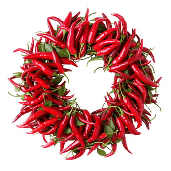 Red chili pepper wreath isolated on a transparent background png