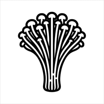 hand-drawn line illustration of enoki mushroom vector