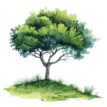 A watercolor and ink style tree with grass drawing, isolated on a transparent background png