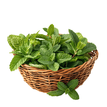 Mint leaves in a wicker basket transparent background png