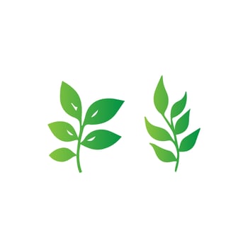 green leaf icon white background vector
