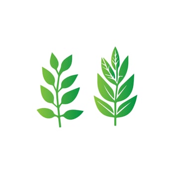green leaf icon white background vector