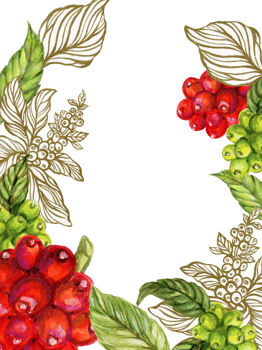 Coffee tree watercolor illustration for decor pattern, invitation and greeting card design. png