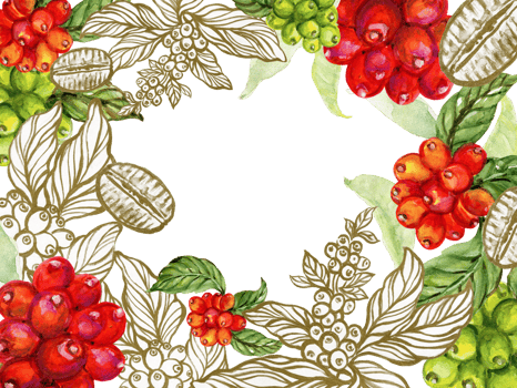 Coffee tree watercolor illustration for decor pattern, invitation and greeting card design. png