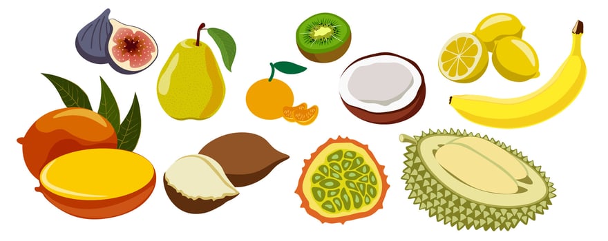 shape fruits set vector