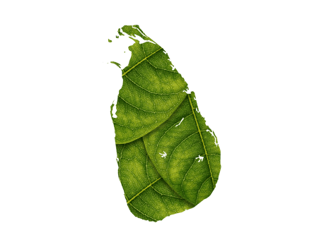 Sri Lanka map made of green leaves ecology concept png