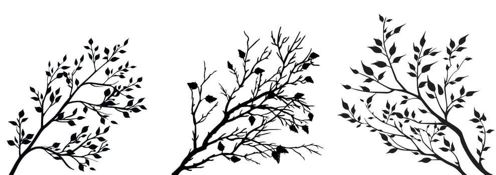 Elegant autumn Black and White Botanical Branch Illustrations for Nature Designs. Leaves Design and Decor vector