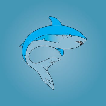 shark logo design vector