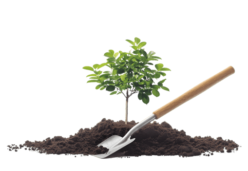 Young tree with gardening trowel on a transparent background png