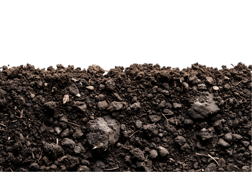 Soil texture on a transparent background png