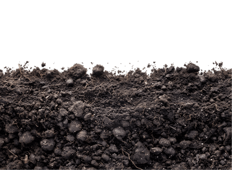Dark soil texture on a transparent background png