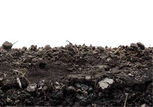 Soil texture on a transparent background png