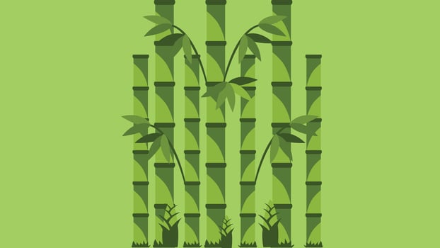 bamboo plants greenery background illustration vector