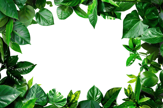 Green Leaf Border Frame. png