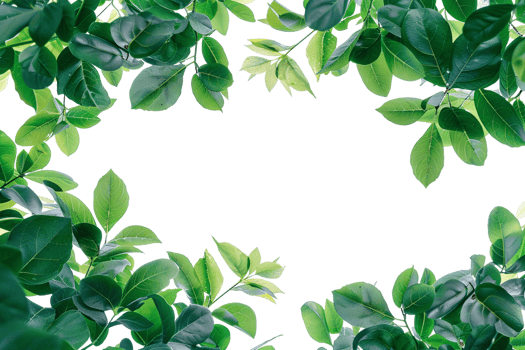 Green Leaf Border Frame. png