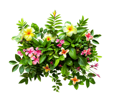 Tropical flower arrangement isolated on a transparent background png