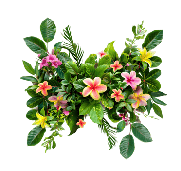 Tropical flower arrangement isolated on a transparent background png