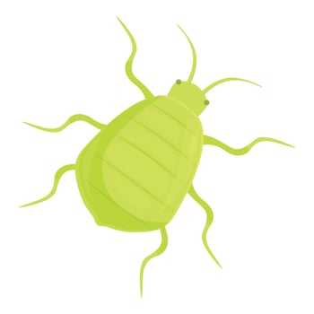 Green beetle insect crawling with long legs vector