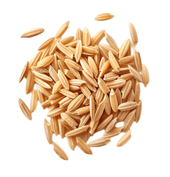 Brown rice grains isolated on a transparent background png