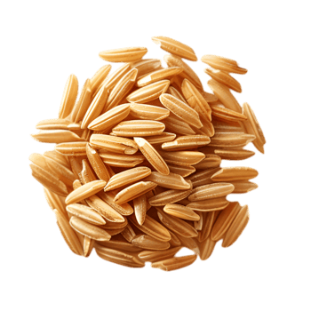 Brown rice grains isolated on a transparent background png