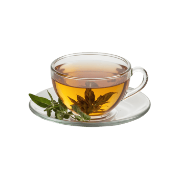 Wholesome Herbal Tea Cup with Green Leaves Isolated on Transparent Background png