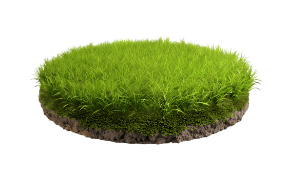 Round patch of grass isolated on a transparent background png