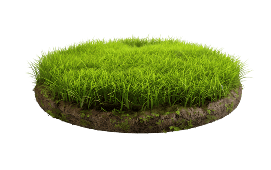Round patch of grass isolated on a transparent background png