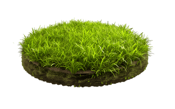 Grass round of patch isolated on a transparent background png