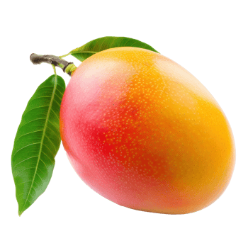 mango fruit on a transparent background png
