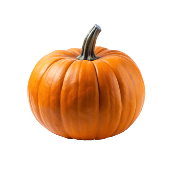 a pumpkin on a transparent background png