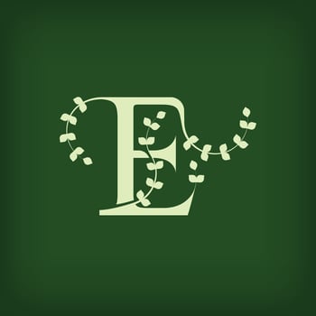 Premium leaf typography, Letter E Initials Logo. Symbol icon design. Unique leaf combination. Flat Design. vector
