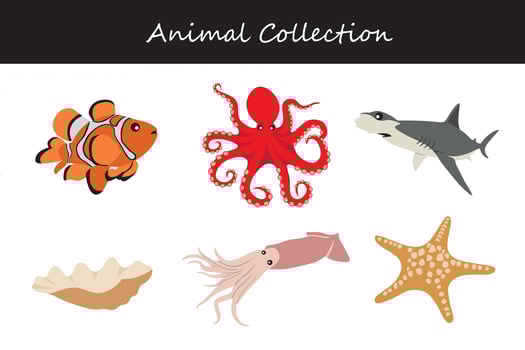 octopus, squid, starfish and others. animal collection vector