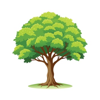 Beautiful Single Big Tree Illustration vector